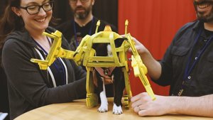 A Puppy Named Ripley Gets an ALIENS Power Loader Suit in This Adorable Video