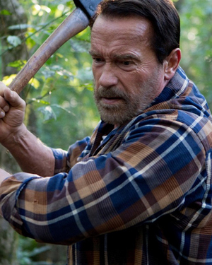 Arnold Schwarzenegger To Star in Revenge Film 478
