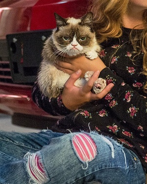 Aubrey Plaza is GRUMPY CAT and First Photo from Film Released