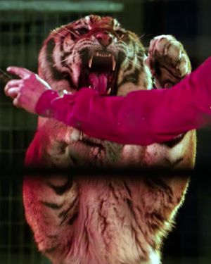 CBS's ZOO Trailer: A Show About All of Earth's Animals Attacking Humanity