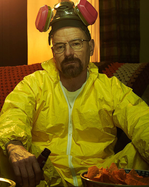 Check Out BREAKING BAD: THE OFFICIAL BOOK