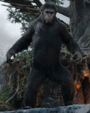 DAWN OF THE PLANET OF THE APES - 10 New Photos