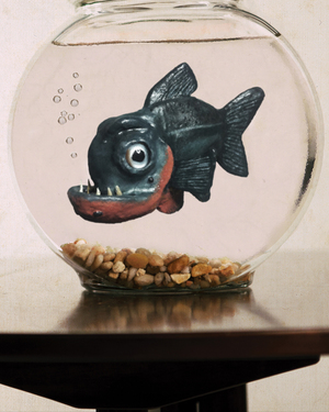 Entertaining Tim Burton-Style Short Film FISH FRIEND