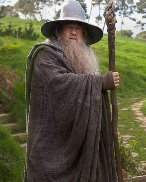 FIFTY SHADES OF GANDALF THE GREY is Just As Funny As You're Hoping