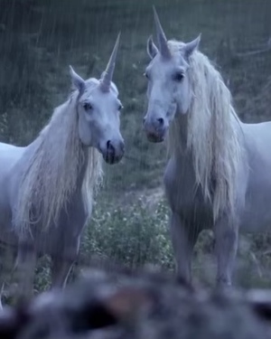 Funny Short Film Explains Why Unicorns Don’t Exist