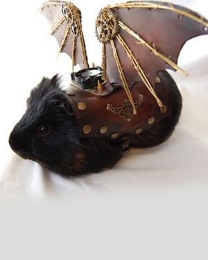 Guinea Pig Strapped with Leather Steampunk Wings