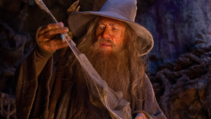 Ian McKellen Turned Down Over $1 Million to Officiate Sean Parker's Wedding Dressed as Gandalf