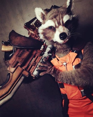 Impressive Rocket Raccoon Cosplay from GUARDIANS OF THE GALAXY