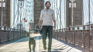 Latest Photo from JOHN WICK: CHAPTER 2 Features John's New Dog