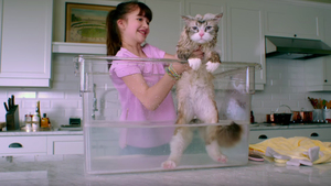 NINE LIVES Trailer: Kevin Spacey Becomes a Cat in a Movie That Somehow Isn't a Joke