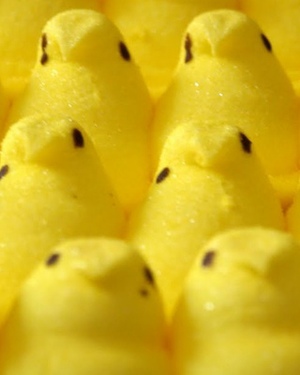 PEEPS are Getting their Own Movie!