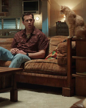 Review of Ryan Reynolds' Dark Comedy THE VOICES - Sundance '14