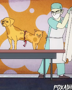 Scientifically Accurate CATDOG Offers a Depressing Look at the '90s Cartoon