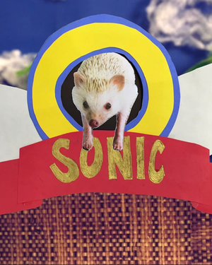 SONIC THE HEDGEHOG in Real Life