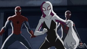 Spider-Gwen and Howard the Duck Are Coming to Marvel's ULTIMATE SPIDER-MAN Animated Series!
