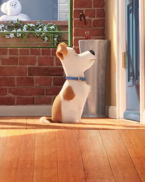 Teaser Trailer For THE SECRET LIFE OF PETS Animated Movie