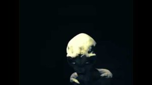 Watch: Video Simulates Interview With An Extraterrestrial 