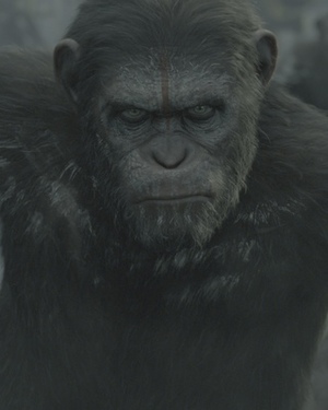 DAWN OF THE PLANET OF THE APES - Official Photo of Caesar!