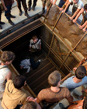 5 New Photos from THE MAZE RUNNER