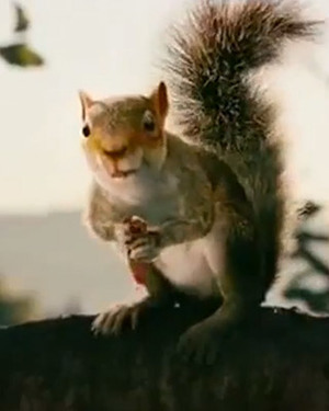 Teaser Trailer for Timur Bekmambetov’s Killer Squirrel Movie