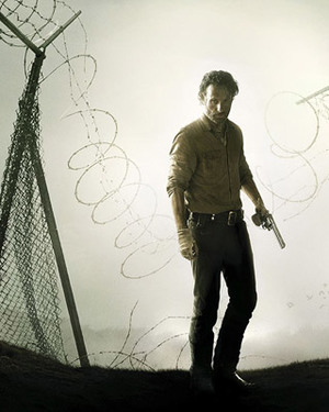 THE WALKING DEAD Season 4 Poster