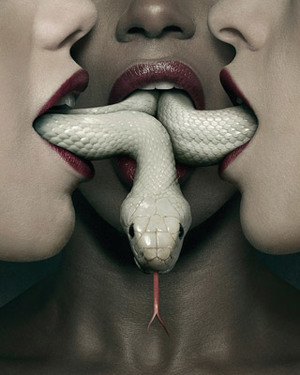 Voodoo Witch Poster for AMERICAN HORROR STORY: COVEN