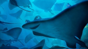 4 New Posters and Promo For Pixar’s FINDING DORY