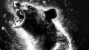 A Bear High on Cocaine Goes on a Murderous Rampage in Red-Band Trailer for COCAINE BEAR; Based on a True Story!