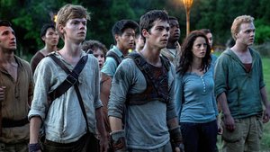 A New MAZE RUNNER Film is Going Into Development with TRANSCENDENCE Writer Jack Paglen