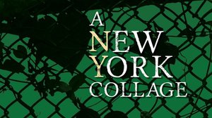 A NEW YORK COLLAGE Is A New Murder Mystery Written By A Retired NYC Nurse