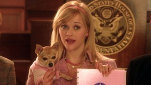 A Release Date Has Been Announced for LEGALLY BLONDE 3