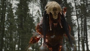 A Sequel to the PREDATOR Film PREY Is Reportedly in the Works at Hulu