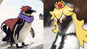 Adorable Fan Art Turns SUPER SMASH BROS. ULTIMATE Characters Into Penguins