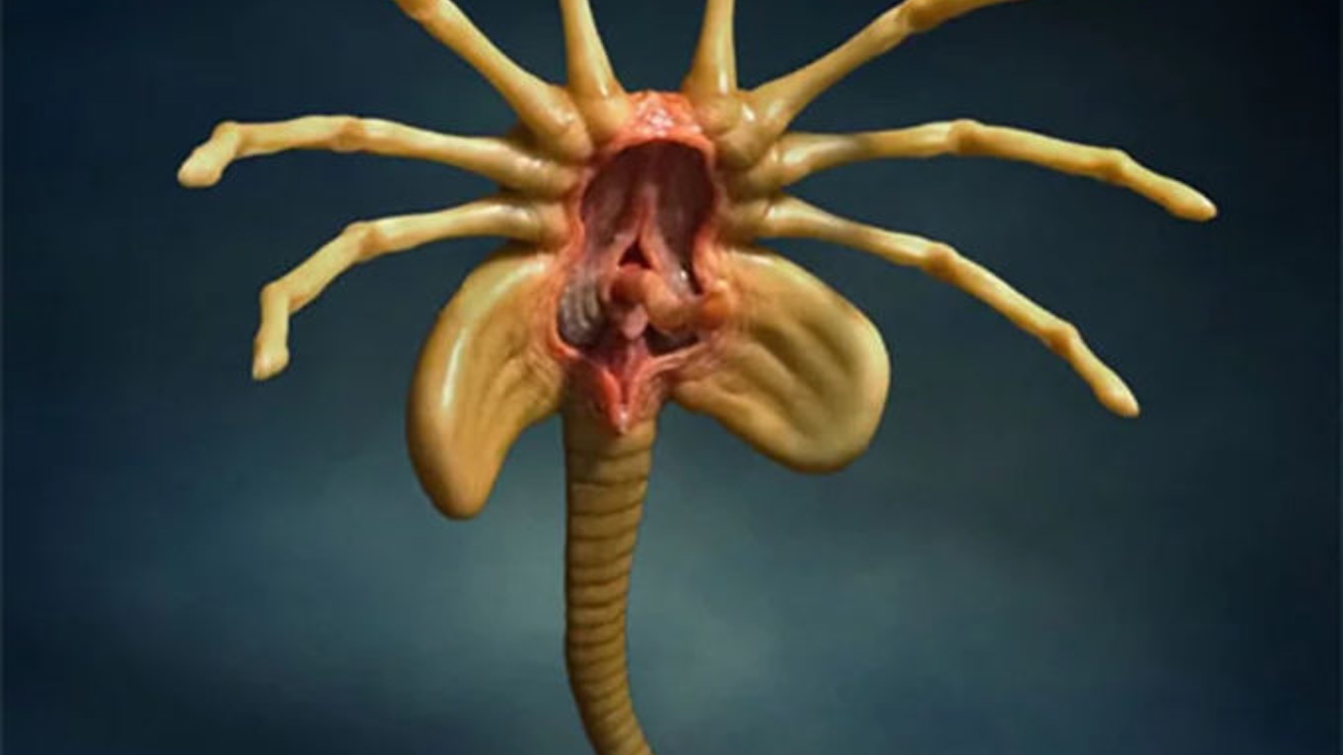 ALIEN Facehugger Replica will Turn Your Desk Into a Nightmare.