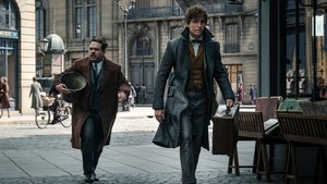 All Five FANTASTIC BEASTS Movies Will Be Set in Different Cities