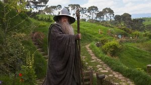 Amazon's LORD OF THE RINGS Series Will Shoot in New Zealand Because New Zealand is Middle Earth
