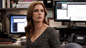 Amy Adams and Laura Dern Bringing Adaptation of Novel THE MOST FUN WE EVER HAD to HBO
