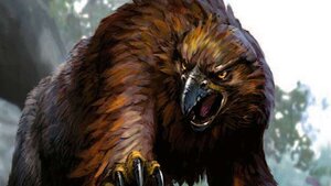 Become an Owlbear Monk in D&D with WAY OF THE OWLBEAR