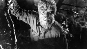 Blumhouse Starts Shooting WOLF MAN for Universal Pictures