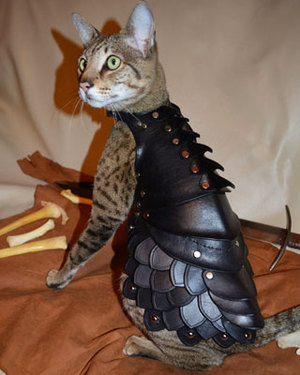 Cat Wearing Leather Battle Armor