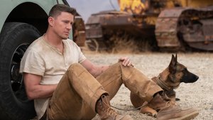 Channing Tatum Set to Star in PROJECT ARTEMIS with Greg Berlanti Directing