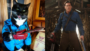 Check Out This Cat Cosplaying as EVIL DEAD's Ash