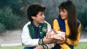 Danica McKellar Pushes Back on Controversial THE WONDER YEARS Ending - 