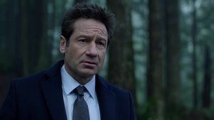 David Duchovny Will Write, Direct, and Star in BUCKY F*CKING DENT