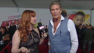 David Hasselhoff Says He and Stan Lee Have Been Texting Buddies for Years