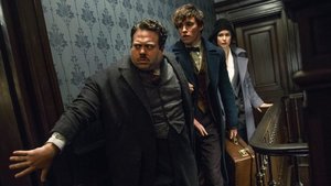 David Yates Is Directing All Five FANTASTIC BEASTS Movies