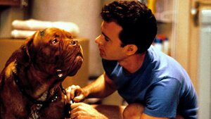 Disney+ Is Developing a TURNER & HOOCH TV Series