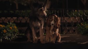 Disney+'s LADY AND THE TRAMP Gets a Charming New Trailer
