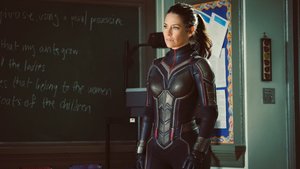 Evangeline Lilly Has a Great Idea For a Story Arc For The Wasp in a Future MCU Film