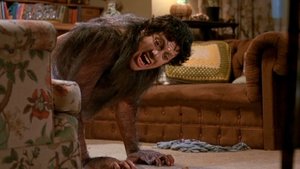 Even John Landis Doesn't Want His Son to Remake AN AMERICAN WEREWOLF IN LONDON